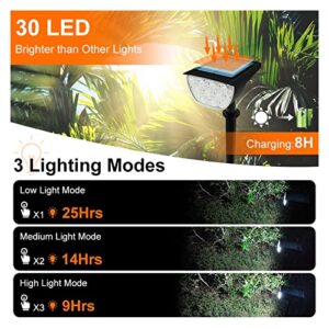 AOIKE 2pcs 30LED Solar Spotlight Garden Lights for Outdoor Park Courtyard Path Villa Porch Decoration Landscape ( Color : Warm Light 2pcs )