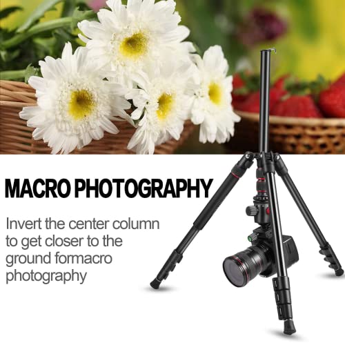 MACTREM 80" Camera Tripod, DSLR Tripod Heavy Duty for Travel, 360 ° Ball Head Professional Aluminum Tripod & Monopod with Carry Bag Compatible with Canon Nikon Sony Camcorder Phone, 33lb Load