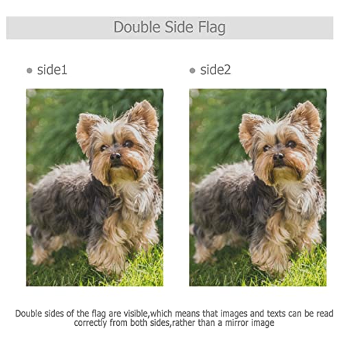 Hokkien Little Yorkshire Terrier Dog Garden Flag Double Sided 12 x 18 Inch, Yard Flags, Decorative Small Garden Flags, Outdoor Lawn and Garden Décor