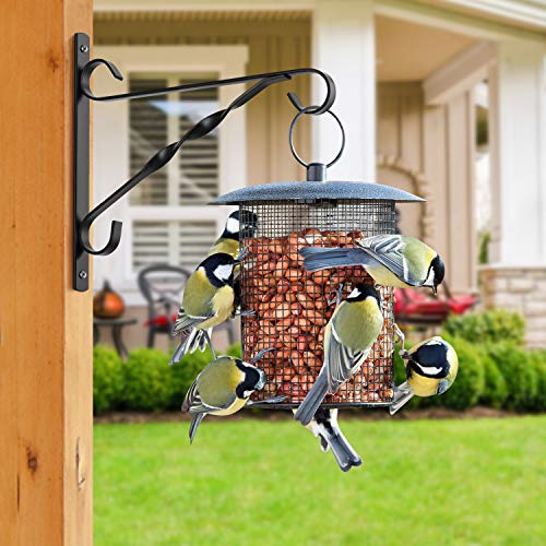 Amagabeli 2 Pack Hanging Plants Bracket 10 inch Planter Hook Hanger for Outdoor Flower Baskets Pot Bird Feeder Wind Chime Lanterns Patio Garden for Indoor Wall Fence Screw Mount Arm Black BG1571