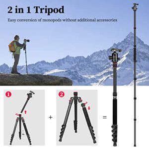 Tripod for Camera, Victiv 81 inch Professional Camera Tripod Monopod, Aluminium DSLR Tripod Heavy Duty for Travel with 360 Degree Ball Head and Phone Mount, Compatible with Canon Nikon Sony