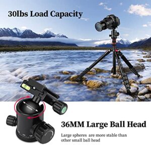 Tripod for Camera, Victiv 81 inch Professional Camera Tripod Monopod, Aluminium DSLR Tripod Heavy Duty for Travel with 360 Degree Ball Head and Phone Mount, Compatible with Canon Nikon Sony