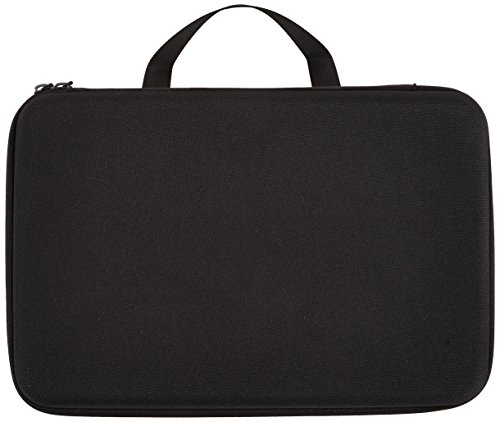 Amazon Basics Large Carrying Case for GoPro And Accessories - 13 x 9 x 2.5 Inches, Black