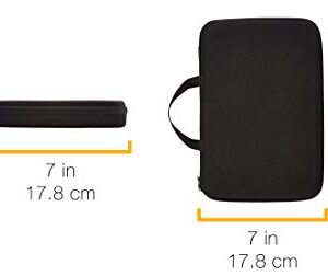 Amazon Basics Large Carrying Case for GoPro And Accessories - 13 x 9 x 2.5 Inches, Black