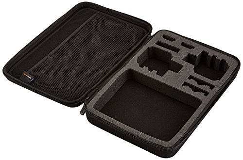 Amazon Basics Large Carrying Case for GoPro And Accessories - 13 x 9 x 2.5 Inches, Black