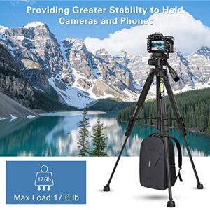 Endurax 74 Camera Tripod for Canon Nikon Sony, DSLR Tripod Stand Tall with Phone Mount and Carry Bag