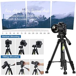 Endurax 74 Camera Tripod for Canon Nikon Sony, DSLR Tripod Stand Tall with Phone Mount and Carry Bag
