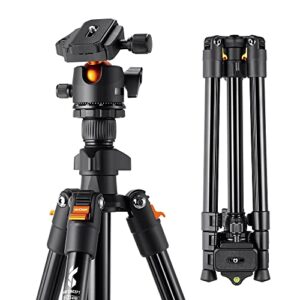 k&f concept 64 inch/163cm camera tripod,lightweight aluminum travel outdoor tripods with 360 degree ball head load capacity 8kg/17.6lbs,quick release plate, for dslr cameras k234a0+bh-28l
