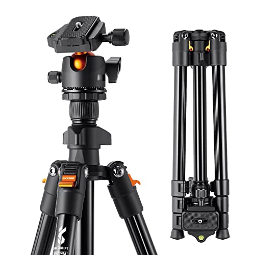 K&F Concept 64 inch/163cm Camera Tripod,Lightweight Aluminum Travel Outdoor Tripods with 360 Degree Ball Head Load Capacity 8kg/17.6lbs,Quick Release Plate, for DSLR Cameras K234A0+BH-28L