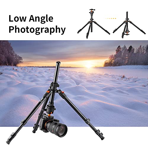 K&F Concept 64 inch/163cm Camera Tripod,Lightweight Aluminum Travel Outdoor Tripods with 360 Degree Ball Head Load Capacity 8kg/17.6lbs,Quick Release Plate, for DSLR Cameras K234A0+BH-28L