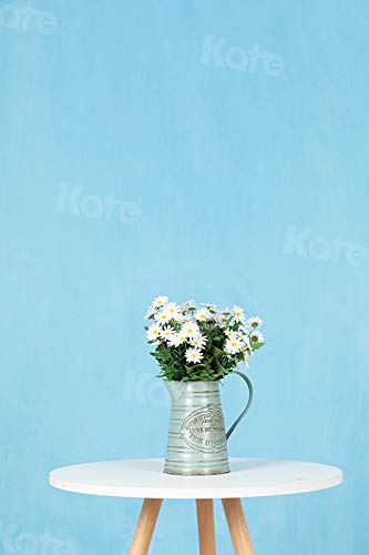 Kate 6ft×9ft Solid Light Blue Backdrop Portrait Photography Background for Photography Studio Children and Headshots Sky Blue Backdrop Background for Photography Photo Booth