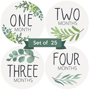 baby monthly stickers | greenery botanical baby milestone stickers | boho newborn boy or girl stickers | eucalyptus month stickers for baby boy | gender neutral | unisex sage green newborn monthly milestones (set of 25)