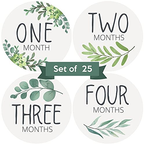 Baby Monthly Stickers | Greenery Botanical Baby Milestone Stickers | Boho Newborn Boy or Girl Stickers | Eucalyptus Month Stickers for Baby Boy | Gender Neutral | Unisex Sage Green Newborn Monthly Milestones (Set of 25)