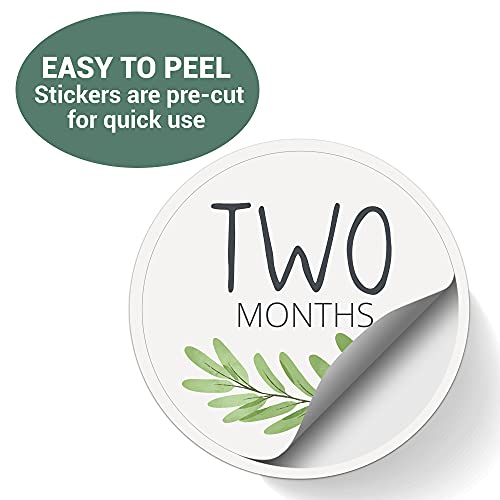 Baby Monthly Stickers | Greenery Botanical Baby Milestone Stickers | Boho Newborn Boy or Girl Stickers | Eucalyptus Month Stickers for Baby Boy | Gender Neutral | Unisex Sage Green Newborn Monthly Milestones (Set of 25)