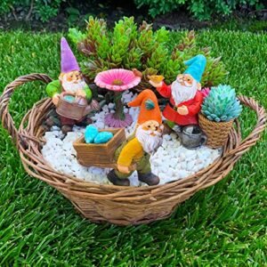Mood Lab Miniature Gardening Gnomes Set of 4 pcs - 3,5" H Garden Gnome Figurines & Accessories Kit - Outdoor or House Decor