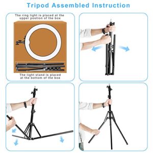 Ring Light with Stand and Phone Holder, IVISII 18 inch Ring Light，55W 5500K LED Ring Light for Live Stream/Makeup/YouTube Video, Dimmable LED Beauty Selfie Ring Light for TikTok Photography