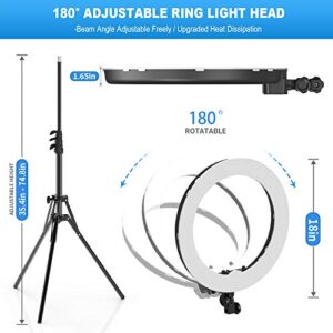 Ring Light with Stand and Phone Holder, IVISII 18 inch Ring Light，55W 5500K LED Ring Light for Live Stream/Makeup/YouTube Video, Dimmable LED Beauty Selfie Ring Light for TikTok Photography