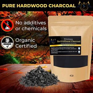Organic Horticultural Charcoal & Terrarium Charcoal | Charcoal for Plants | Pure Hardwood Charcoal for Planting and Gardening | (1 Quart)