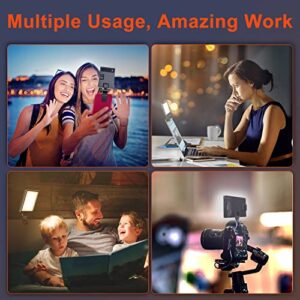 Eicaus Rechargeable Selfie Light with Clip and Adapter for Phone＆Camera-Perfect for TikTok, Selfie, Video Conference-Compatible with iPhone,Android,iPad,Laptop-Portable LED Light for Photos and Videos