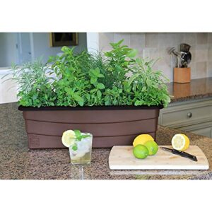 EarthBox 80653 Junior Garden Kit, Organic Planter, Chocolate