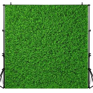 nature green grass backdrops for photography 6x6ft spring realistic grass lawn backgrounds for baby shower birthday party photoshoot luckbty luzz440