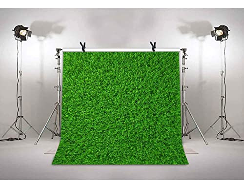 Nature Green Grass Backdrops for Photography 6x6FT Spring Realistic Grass Lawn Backgrounds for Baby Shower Birthday Party Photoshoot LUCKBTY LUZZ440