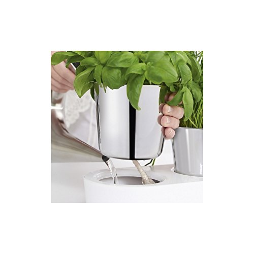 WMF Gourmet herb Garden Set, 3-Piece