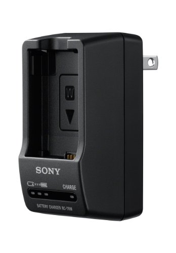 Sony BC-TRW W Series Battery Charger