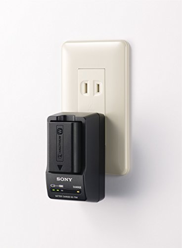 Sony BC-TRW W Series Battery Charger