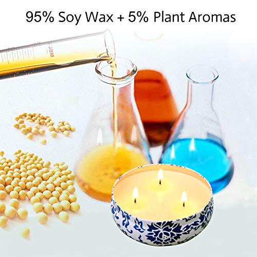 Hausware Citronella Candles Outdoor & Indoor - Large 13.5 oz Scented Candles Set 3 Pack Natural Soy Wax citronella Candles for Garden Patio Yard Home Balcony Camping Backyard