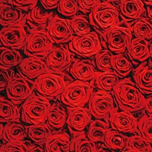 RUINI Red Rose Floral Wedding Photography Backdrop Roses Wall Lovers Girls Children Photos Backdrop 5x7FT