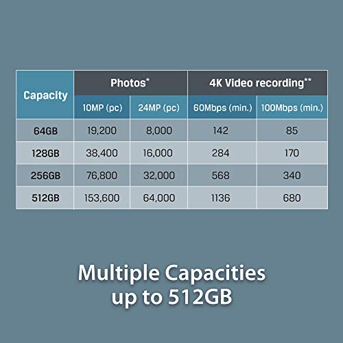 Kingston 128GB microSDXC Canvas Go Plus 170MB/s Read UHS-I, C10, U3, V30, A2/A1 Memory Card + Adapter (SDCG3/128GB)