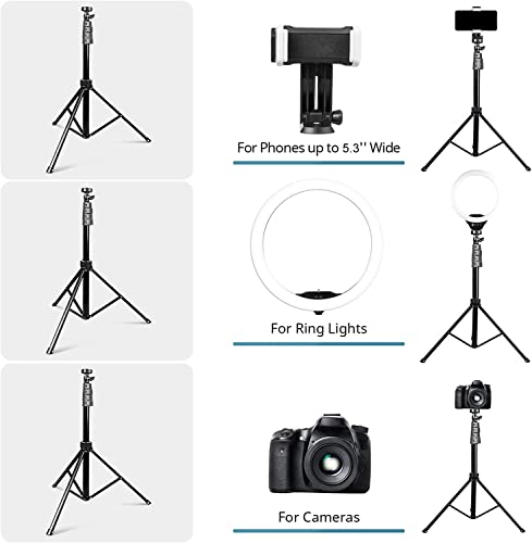 Eicaus 12" Ring Light with Tripod Stand and Phone Holder,Selfie LED Lighting with 62" Phone and Stand,Circle Ringlight for Photography,TIK Tok and YouTube,Compatible with iPhone, Android and Cameras