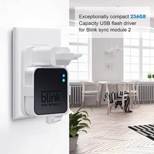 256GB Blink USB Flash Drive for Local Video Storage with The Blink Sync Module 2 Mount,Save Space Easy Move Bracket for for Blink Outdoor Indoor Security Camera(Blink Sync Module 2 is NOT Included)