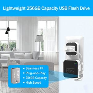 256GB Blink USB Flash Drive and Blink Sync Module 2 Mount, No-Drilling Easy Move Mount Bracket for Blink Outdoor Indoor Security System, with Short Cable (Blink Sync Module 2 is NOT Included)