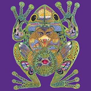 Toland Home Garden 119609 Animal Spirits- Frog Frog Flag 12x18 Inch Double Sided Frog Garden Flag for Outdoor House Indigenous Flag Yard Decoration