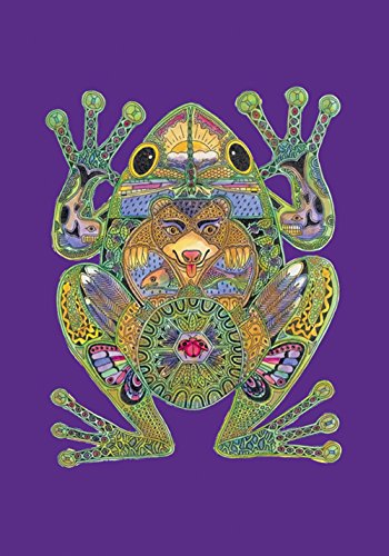 Toland Home Garden 119609 Animal Spirits- Frog Frog Flag 12x18 Inch Double Sided Frog Garden Flag for Outdoor House Indigenous Flag Yard Decoration