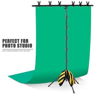 Coliflor T-Shape Portable Backdrop Stand – 8x5.3ft Adjustable Photo Background Stand Kit, Sturdy Small Back Drop Holder with 6 Spring Clamps, Sandbag, Carry Bag for Party, Photography and Video Studio