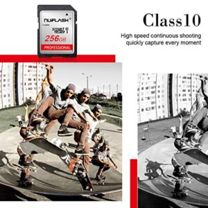 256GB SD Card Flash Memory Class 10 High Speed Security Digital Memory Card for Vloggers, Filmmakers, Photographers and Other SD Card Devices(256GB)