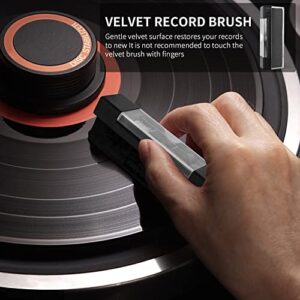 BUBM Vinyl Record Cleaning Brush Kit - Storage Pouch Velvet Record Brush, Cleaning Liquid, Stylus Brush