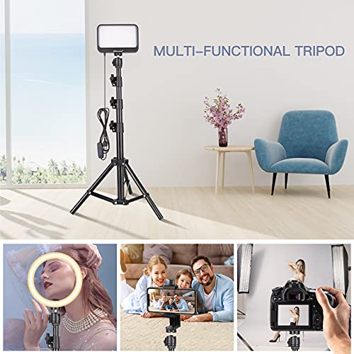 UBeesize LED Video Light Kit, 2Pcs Dimmable Continuous Portable Photography Lighting with Adjustable Tripod Stand & Color Filters for Tabletop/Low-Angle Shooting, for Zoom, Game Streaming, YouTube