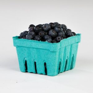 pactiv 1 quart garden party berigard berry basket molded fiber green | 25 pack