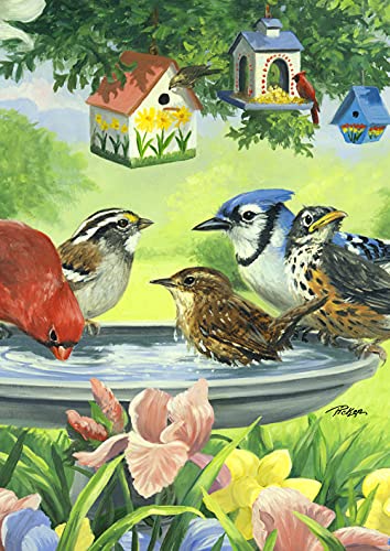 Toland Home Garden 119474 Bathing Birds Spring Flag 12x18 Inch Double Sided Spring Garden Flag for Outdoor House Flag Yard Decoration