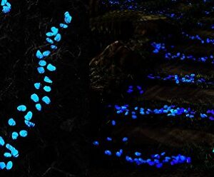 TR318 Glow in The Dark Garden Pebbles Stone for Walkway Yard and Decor DIY Decorative Gravel Stones in Blue(100PCS)