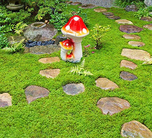 9 Inch Three-Headed Mushroom Garden Statue Perfect for Decoration for Garden, Outdoor, Patio (Red)