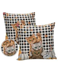 outdoor pillow covers for patio furniture 16×16 inch 2pcs, square waterproof garden cushion thanksgiving harvest pumpkin cats buffalo plaid throw pillow cover shell for sofa couch bench seat