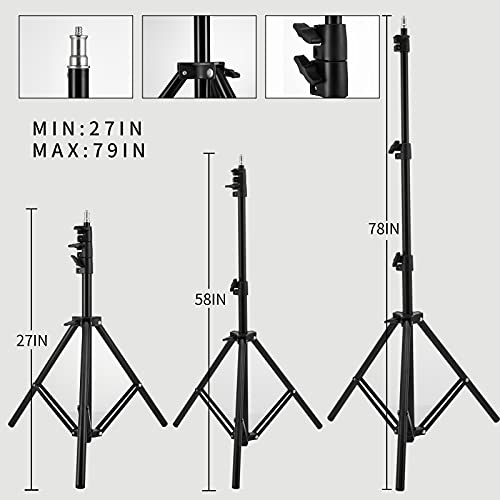 Softbox Lighting Kit Photography Soft Box 20'' X 28'', 85W Studio 6000k Bulb LED Light, 6.7'Light Stand, Remote Set, BEIYANG