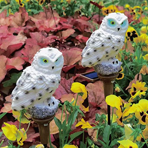 Solar Owl Garden Light, Outdoor Solar Powered Owl Stake Lights 2 Pack for Walkway Yard Lawn Landscape Lighting (Owl)