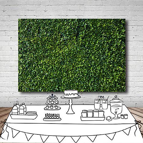 OUYIDA Green Leaves Photography Backdrops Grass Backdrop Wall Greenery Safari Party Decoration Photoshoot Newborn Baby Shower Backdrop Wedding Birthday Photo Background Studio Props Booth 7x5FT PCK41