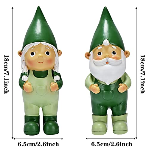 ASAMASA 2 Pcs Funny Garden Gnomes Statue Garden Gifts Gnome Decor Naughty Gnome Statue Indoor/Outdoor Garden Gnome Sculpture for Patio Yard Decorations